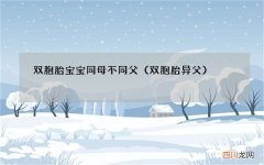 双胞胎异父 双胞胎宝宝同母不同父