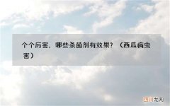西瓜病虫害 个个厉害，哪些杀菌剂有效果？