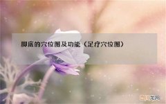 足疗穴位图 脚底的穴位图及功能