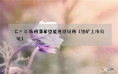 铀矿上市公司 CFO陈德邵希望能进港股通