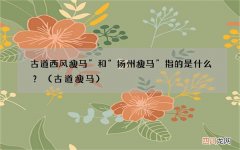 古道瘦马 古道西风瘦马”和“扬州瘦马”指的是什么？