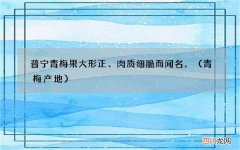青梅产地 普宁青梅果大形正、肉质细脆而闻名。