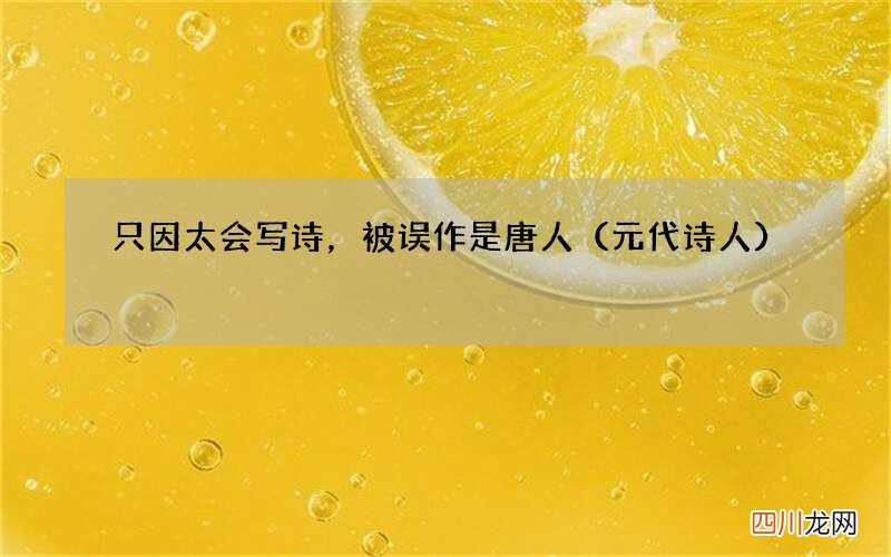 元代诗人 只因太会写诗，被误作是唐人