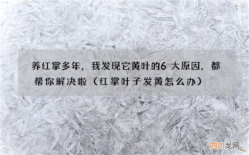 红掌叶子发黄怎么办 养红掌多年，我发现它黄叶的6大原因，都帮你解决啦