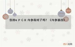 内参基因 您的qPCR内参选对了吗？