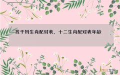 找干妈生肖配对表，十二生肖配对表年龄
