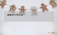 倒追双子男大忌