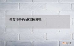 椰青和椰子的区别在哪里