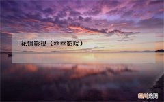 丝丝影院 花姐影视
