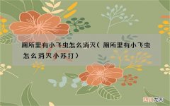 厕所里有小飞虫怎么消灭小苏打 厕所里有小飞虫怎么消灭