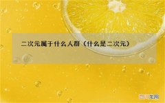 什么是二次元 二次元属于什么人群