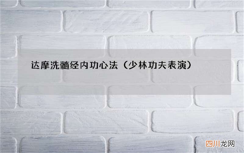 少林功夫表演 达摩洗髓经内功心法