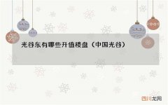 中国光谷 光谷东有哪些升值楼盘