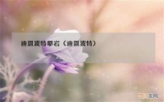 迪恩波特 迪恩波特攀岩