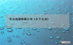 天下无虫 专业清理蟑螂公司