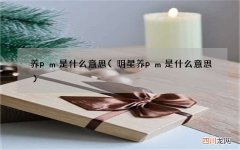 明星养pm是什么意思 养pm是什么意思