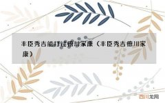 丰臣秀吉德川家康 丰臣秀吉能打过德川家康