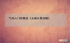 太极以柔克刚 气功入门呼吸法