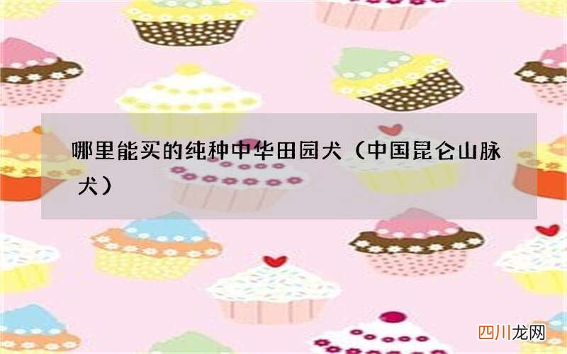 中国昆仑山脉犬 哪里能买的纯种中华田园犬