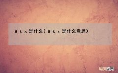 gsx是什么意思 gsx是什么
