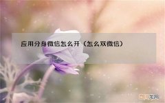 怎么双微信 应用分身微信怎么开