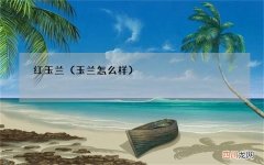 玉兰怎么样 红玉兰