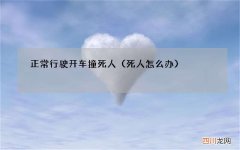 死人怎么办 正常行驶开车撞死人