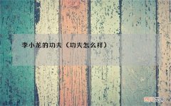 功夫怎么样 李小龙的功夫