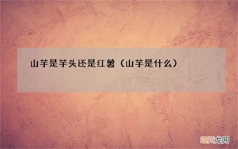 山芋是什么 山芋是芋头还是红薯