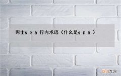 什么是spa 男士spa行内术语