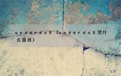 underdog是什么意思 underdog