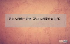 天上人间是什么生肖 天上人间猜一动物