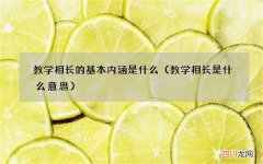 教学相长是什么意思 教学相长的基本内涵是什么