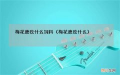 梅花鹿吃什么 梅花鹿吃什么饲料