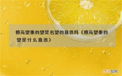 德高望重的望是什么意思 德高望重的望是名望的意思吗