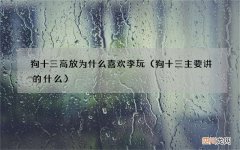 狗十三主要讲的什么 狗十三高放为什么喜欢李玩