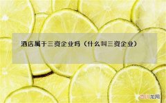 什么叫三资企业 酒店属于三资企业吗