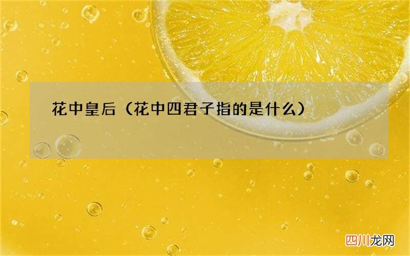 花中四君子指的是什么 花中皇后