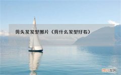 剪什么发型好看 剪头发发型图片