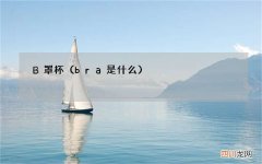 bra是什么 B罩杯