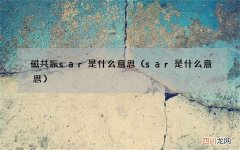sar是什么意思 磁共振sar是什么意思