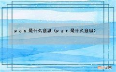 pat是什么意思 pan是什么意思