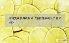 滚筒洗衣机什么牌子好 滚筒洗衣机电机区别
