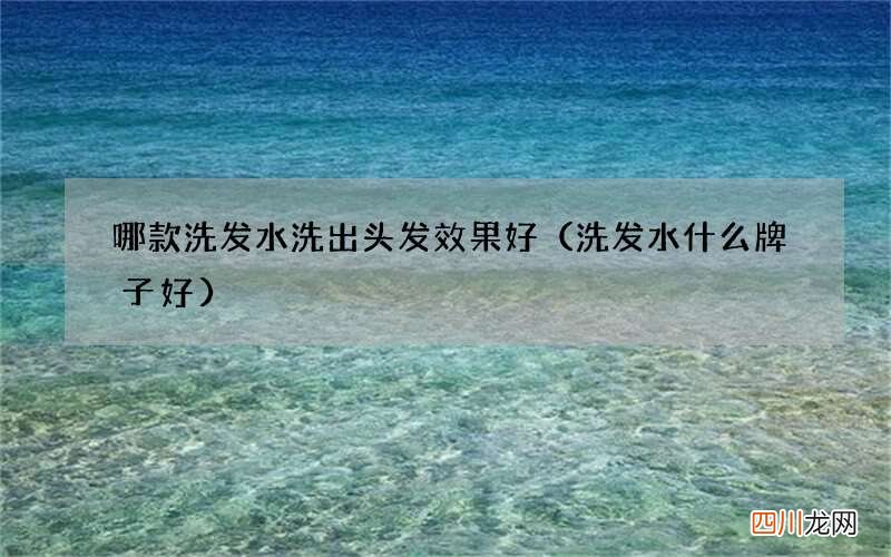 洗发水什么牌子好 哪款洗发水洗出头发效果好