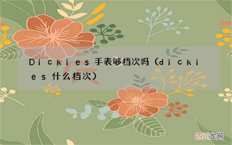 dickies什么档次 Dickies手表够档次吗