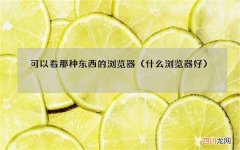 什么浏览器好 可以看那种东西的浏览器