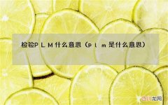 plm是什么意思 检验PLM什么意思