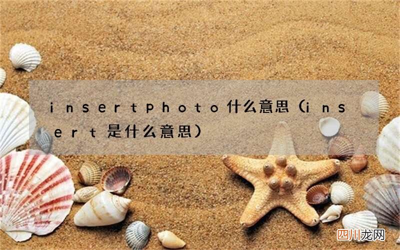 insert是什么意思 insertphoto什么意思