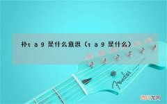 tag是什么 补tag是什么意思