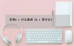 bt是什么 菜单bt什么意思